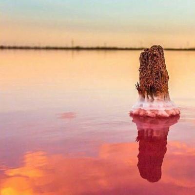 人鱼公主填颜色